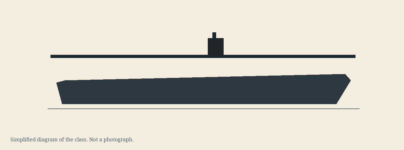 Simplified diagram of the Wasp class, not a photograph